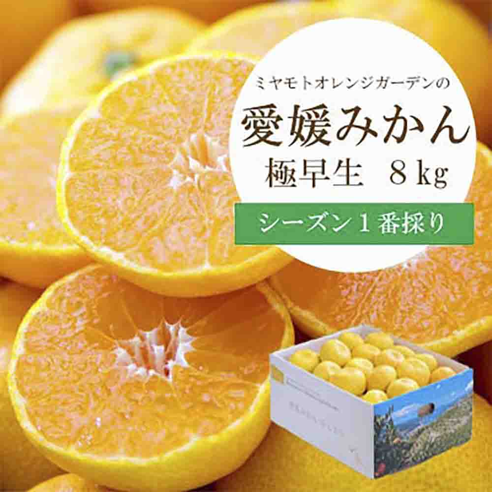 シーズン一番採り!極早生みかん 8kg【訳あり】【C25-131】【1166252】 YWTAP074