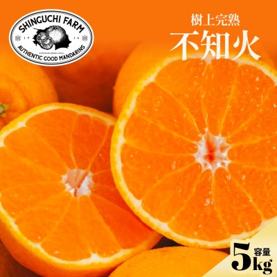【樹上完熟】不知火(デコ)5kg『甘みと程よい酸味のバランスが絶妙』【D70-30】【1470653】