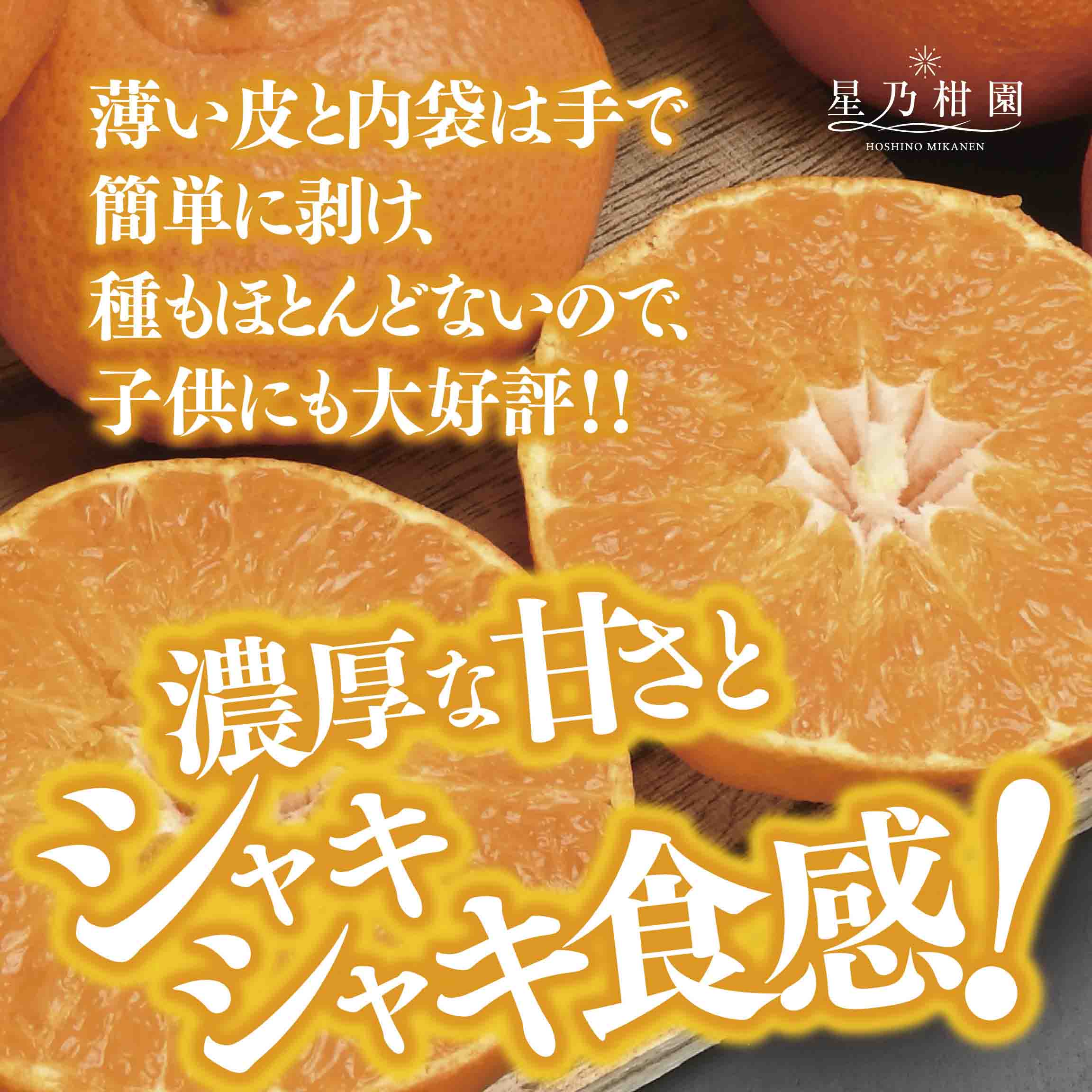縲占ィウ縺ゅj縲第弌荵縺ソ縺九s蝨偵ョ逕伜ケウ(3.5kg)縲織45-95縲代1625779縲 YWTAZ057