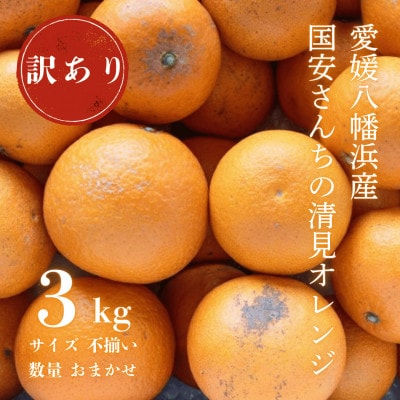 【まるで食べるジュース!越冬完熟品】愛媛産 訳あり 清見オレンジ 3kg【C20-87】【1625400】