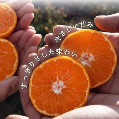 【砂糖・保存料・甘味料すべて不使用】愛媛みかんジュース「天凪」　720ml　6本【H98-4】【1711271】