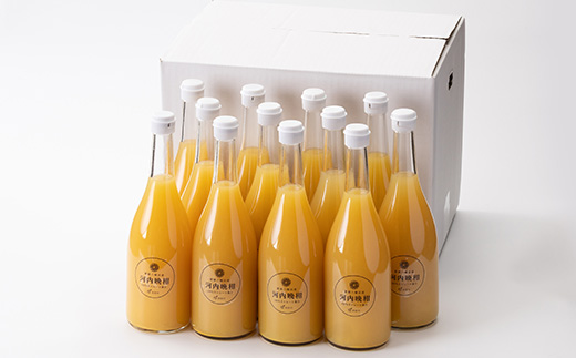 æ²³å
æ©æãžã¥ãŒã¹(ã¹ãã¬ãŒã)720mlÃ12æ¬ãH56-79ãã1668628ã