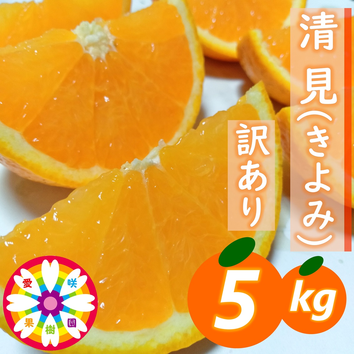 【先行受付】愛咲果樹園「清見」訳あり 約5kg【71-50】YWTS062