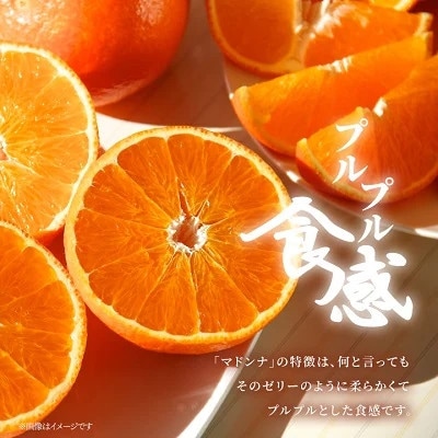 年明け提供・家庭向き　限定400ケース　ぷるぷる新食感「まどんな」約3.5キロ【C39-84】【1704637】