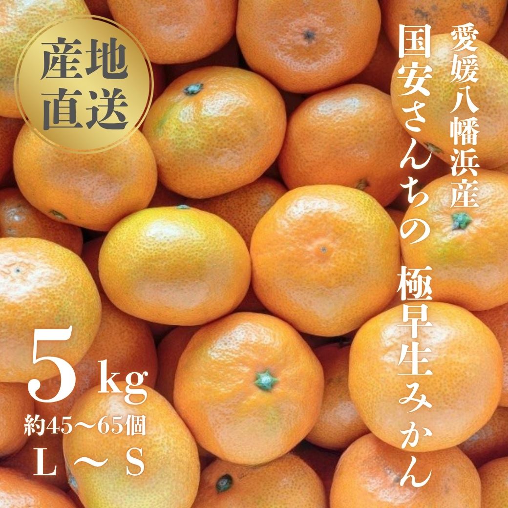 ã嵿¥85幎 芪å4代 æåªã¿ãã äžçãæåªå
«å¹¡æµç£ 極æ©çã¿ãã 5kgãC20-43ãã1594908ã YWTI038