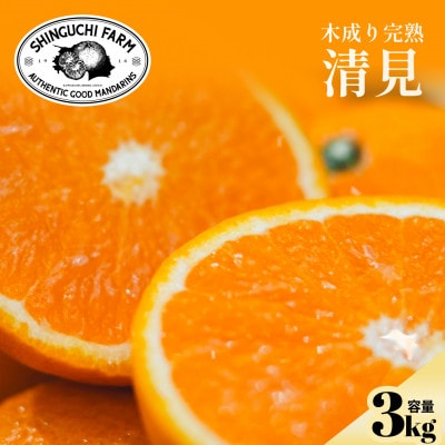 【太陽の恵みをギュッと凝縮】清見 3kg 愛媛県産【C70-71】【1615835】