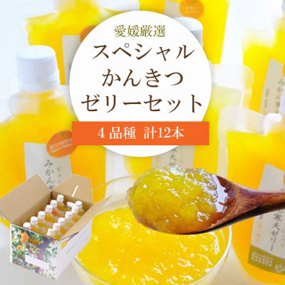 ミヤモトオレンジガーデンの「愛媛選り抜き!スペシャルかんきつゼリー12本セット」【C25-152】【1452992】 YWTAP094