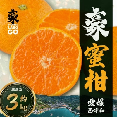 豪 蜜柑　3kg(S〜Lサイズ)【C88-2】【1660449】