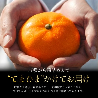 ææ©ã®å€§ãããããšã 2kgãããšãããæ¿åæå®ããC70-8ãã1451139ã