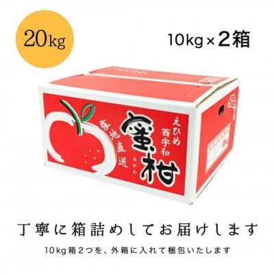 【創業85年 親子4代 愛媛みかん 一筋】訳あり 愛媛みかん 20kg【H20-82】【1623264】