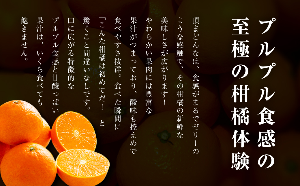 頂みかんプレミアム&頂まどんな 食べ比べ2箱セット【各3kg】【G31-53】【1643194】 YWTAC042