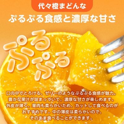 計4.5キロ 訳あり代々橙まどんな3.5kg+代々橙みかん1kg(家庭用サイズ混合)【C83-20】【1556521】