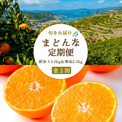 【2週間毎定期便】まどんな3.5kg(訳)×まどんな2.5kg(秀)【G25-264】全2回【4071219】