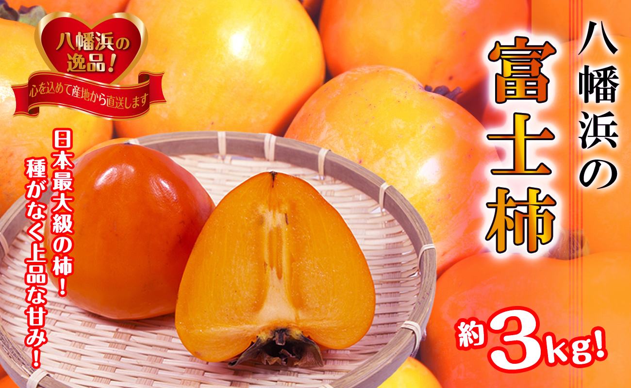 甘さにニッコリ!日本最大級の柿「富士柿」約3キロ【C39-72】【配送不可地域：離島】【1620371】 YWTF047