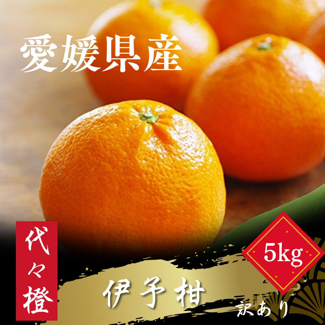 【ジューシー果肉がいい香り♪】【訳あり】伊予柑 5kg【C83-47】【1625114】 YWTW047