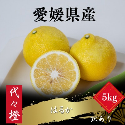 【爽やかな甘さ】【訳あり】はるか 5kg【C83-19】【1549109】