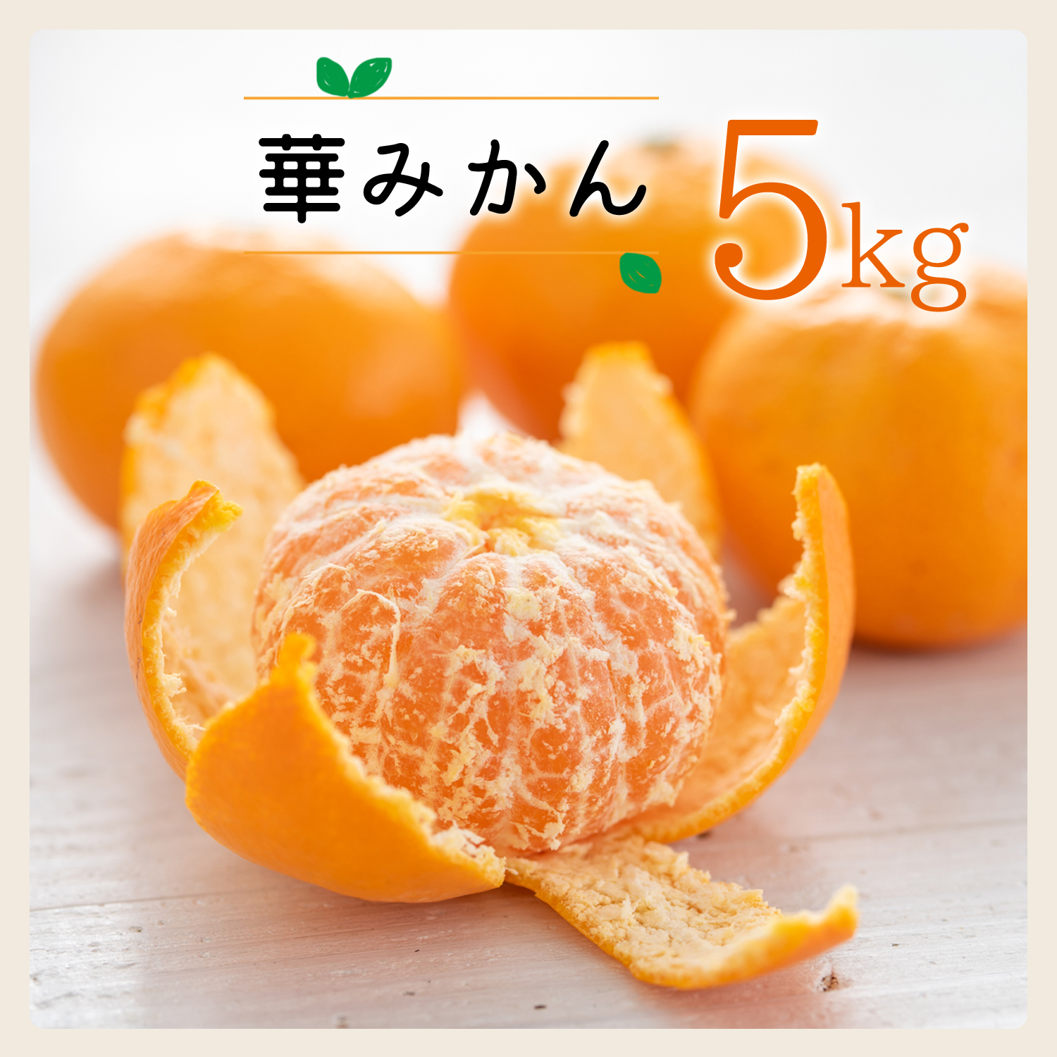 ã³ãŠææš¹åã®è¯ã¿ãã5kgãA33-38ãã1491967ã YWTG020
