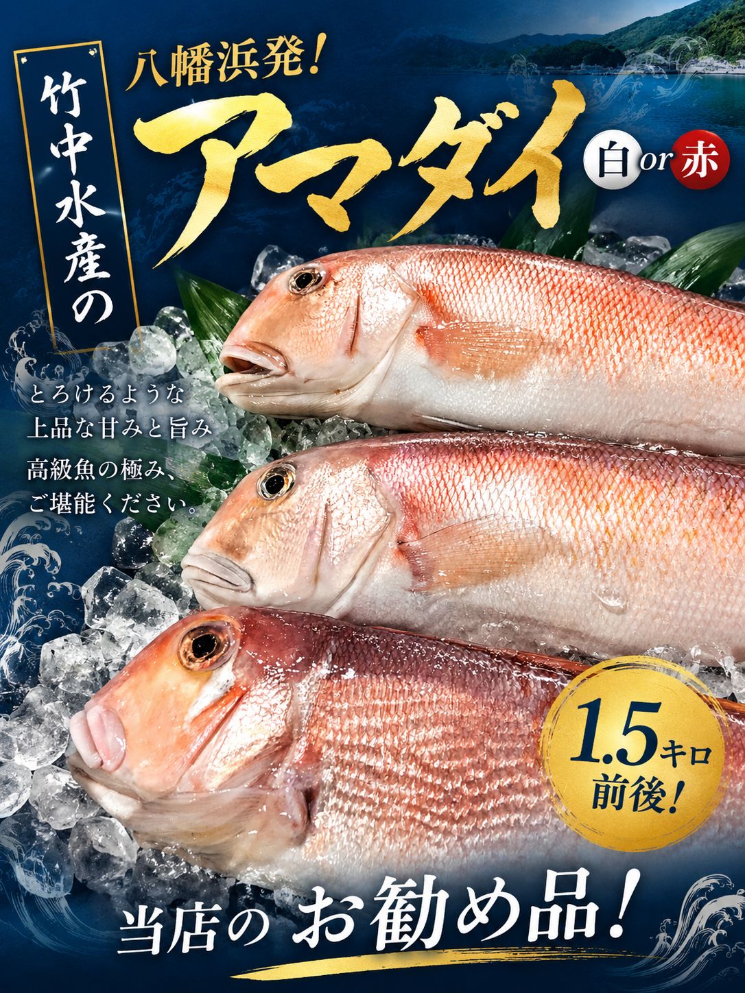 竹中水産の「甘鯛(赤又は白)1.5キロ前後」【H22-261】【配送不可地域：離島・北海道・沖縄県】【1075513】 YWTM079