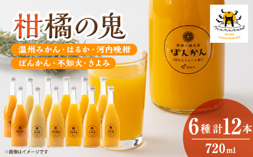 6種みかんジュースセット12本セット(各2本)【H56-85】【1668721】