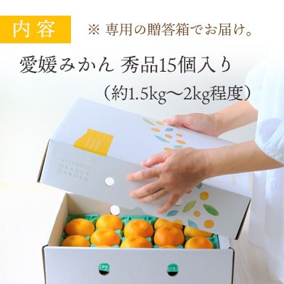 西宇和地区八幡浜産 愛媛みかん【贈答用】15個入り のし付き【C25-167】【1536565】