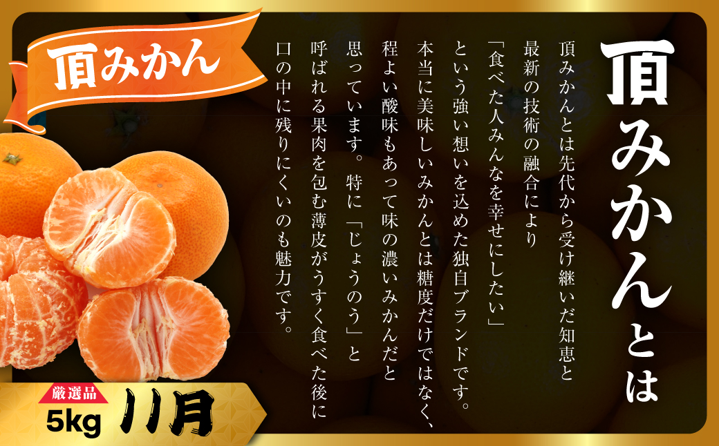 【発送月固定定期便】美味しいみかん柑橘のある暮らし【みかん・まどんな・きよみ】【G31-42】全3回【4058603】 YWTAC031