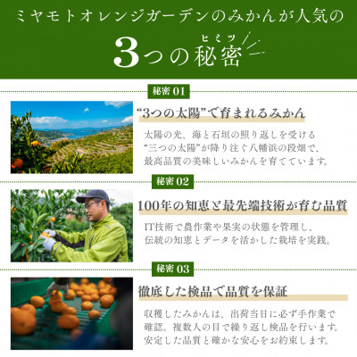 æåªã¿ãã 5kg 西å®åå°åºå
«å¹¡æµåžç£ãD25-21ãã1044410ã