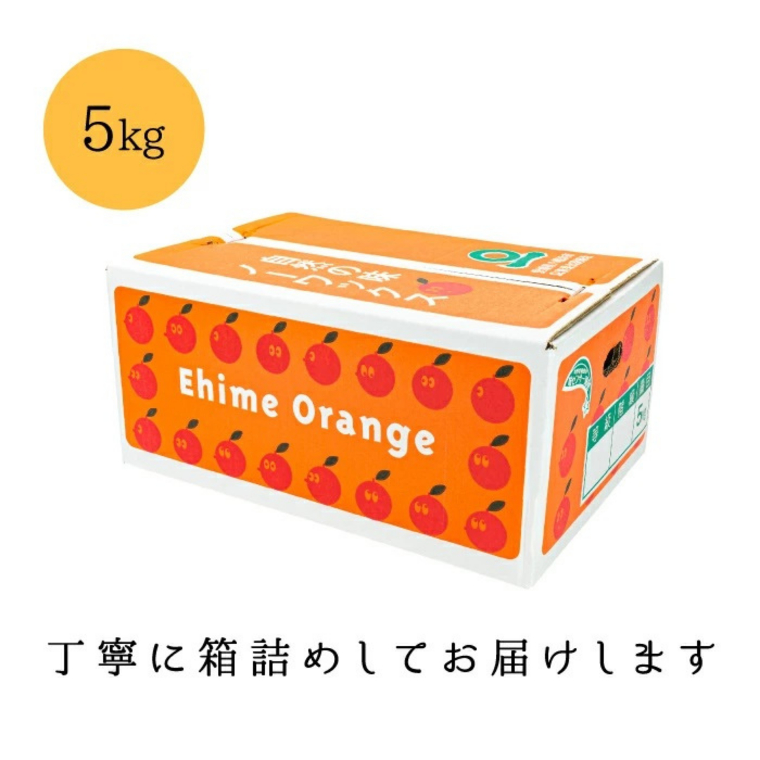 【みかんの大トロ】糖度12.0以上 酸1.4以下 糖酸選別品 愛媛セトカ 5kg【G20-65】【1620326】 YWTI060