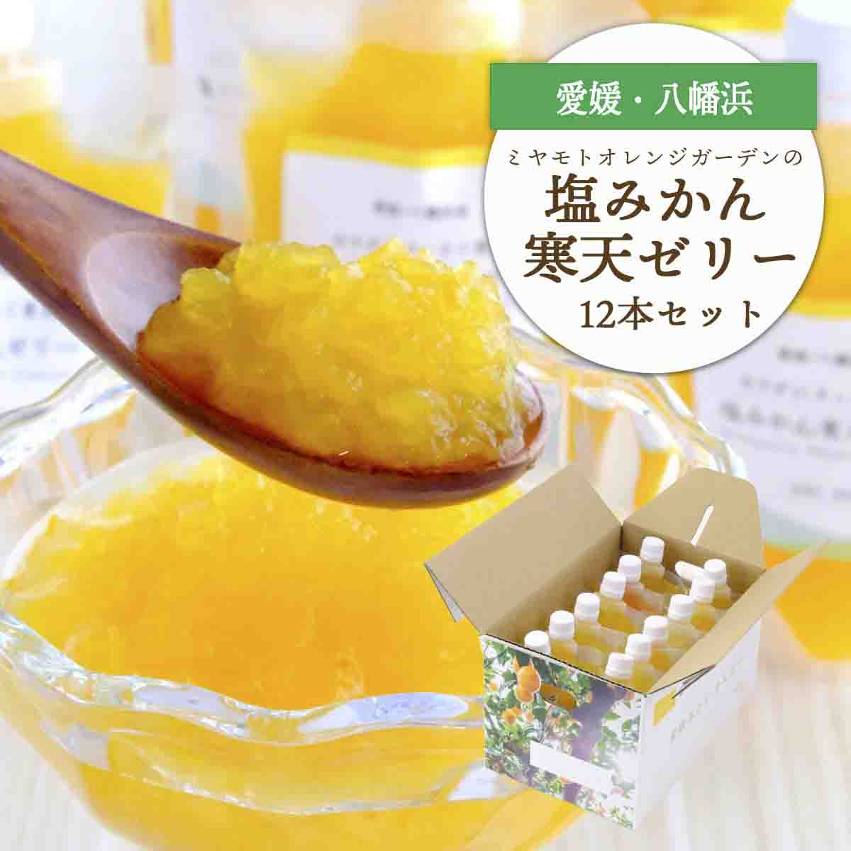 ゲル化剤・pH調整剤不使用!愛媛産 塩みかん寒天ゼリー 12本セット【D25-221】【1628728】 YWTAP162
