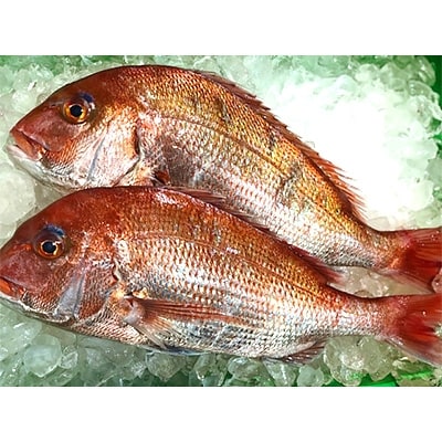 ç«¹äžæ°Žç£ã®ããåºèº«çšå€©ç¶çé¯ãçŽ2ããã»ãã!(倧ãäžãå°æ··:1ã3æ)ãD22-263ããé
éäžå¯å°åïŒé¢å³¶ã»åæµ·éã»æ²çžçãã1075515ã