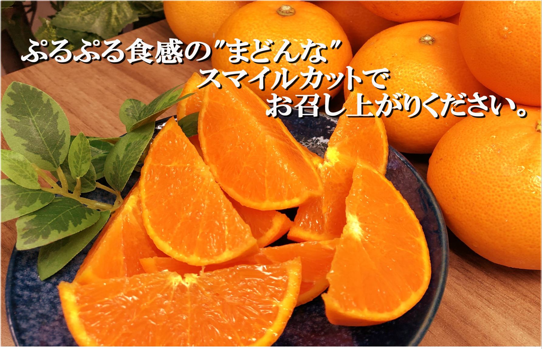 【先行受付】ギフト対応化粧箱入・上杉農園のぷるぷる新食感!「マドンナ」約3kg【D39-16】【1251804】 YWTF008