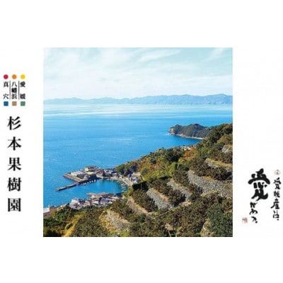 【家庭用】真穴、八寿みかん(南柑20号)5kg【C34-40】【1692446】