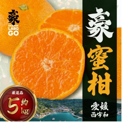 豪 蜜柑　5kg(S〜Lサイズ)【C88-1】【1660442】