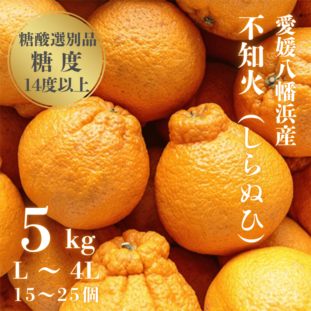 【糖度14.0以上酸1.4以下】糖酸選別品 愛媛産 不知火 (しらぬひ) 5kg【D20-61】【配送不可地域：離島】【1620228】 YWTI056