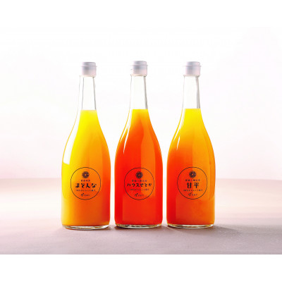 高級柑橘3種ジュース3本セット【D56-62】【1606186】