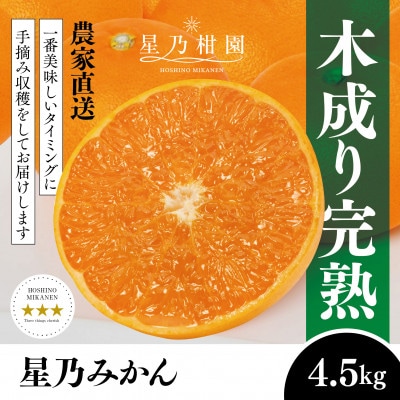 【三つ星ブランド】星乃みかん(4.5kg)【B45-90】【1582444】