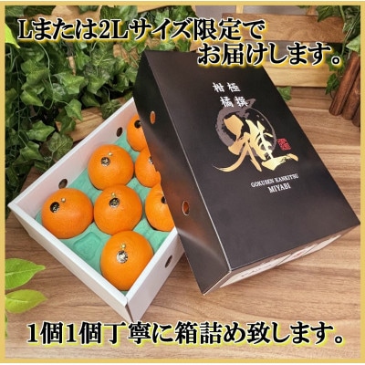 極撰柑橘【雅】光センサー合格品・柑橘の大トロ「 せとか 」約2キロ　【C39-47】【配送不可地域：離島】【1380610】