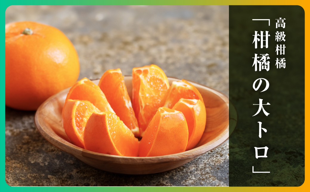 三代目の柑橘の大トロ【せとか】4kg　サイズ:L〜4L混合【E31-52】【配送不可地域：離島】【1631010】 YWTAC041