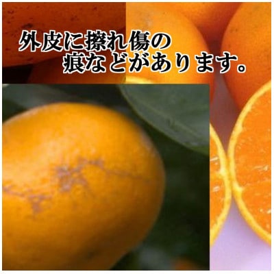 ãJASèªèšŒææ©æ œå¹ãæ¿åãªå³ããã®æž©å·ã¿ãã!!èæ± 蟲åãåæ20å·ã5kgãC39-23ãã1044610ã