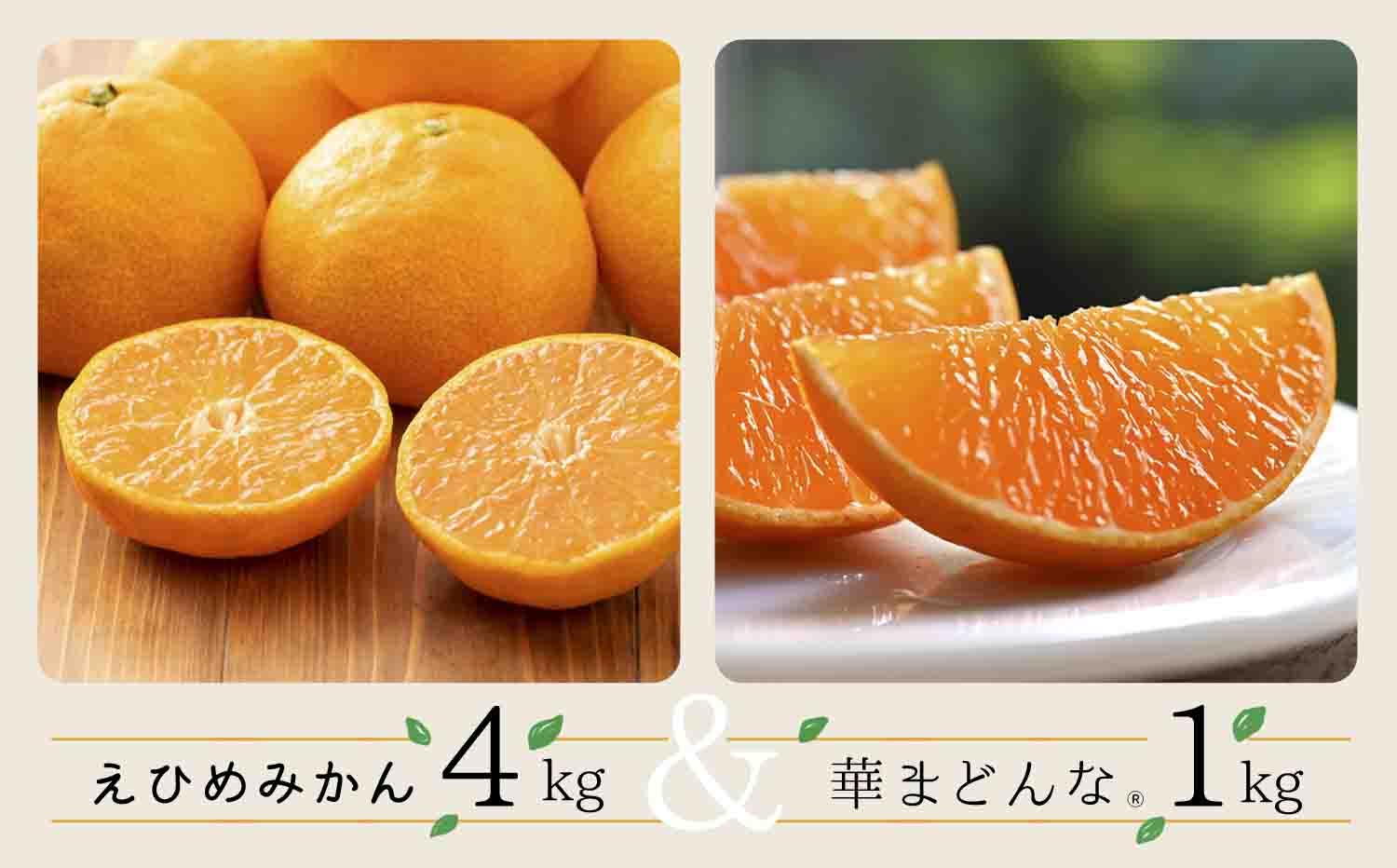 コウ果樹園の「えひめみかん4kg・華まどんな1kg 詰め合せ」【D33-12】【1123769】 YWTG006