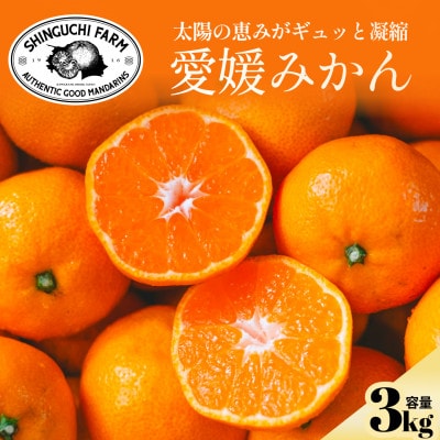 【太陽の旨みがギュッと凝縮】愛媛みかん3kg【小玉】農家直送 愛媛県川上産【C70-73】【1620185】