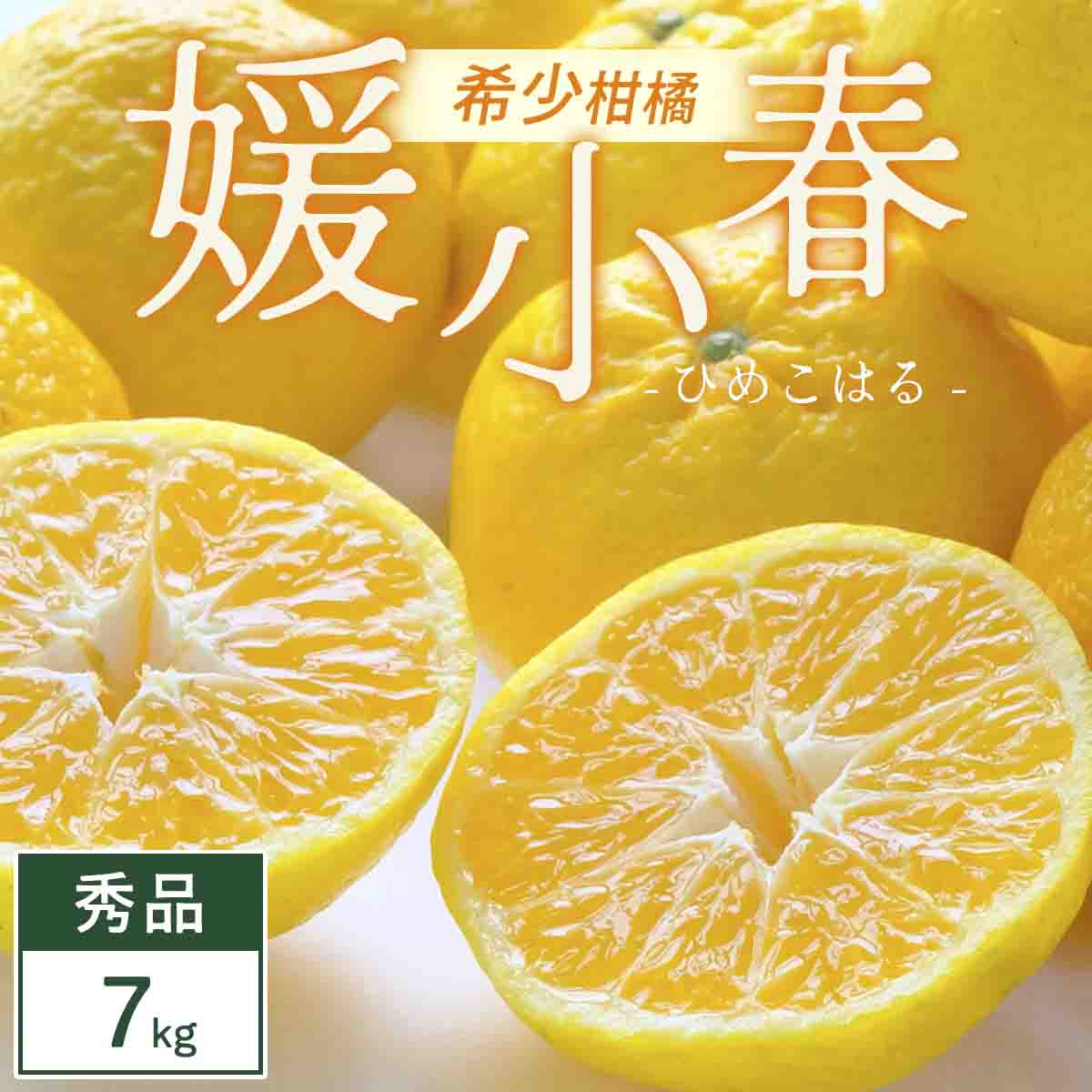 媛小春 7kg 愛媛県 八幡浜市 西宇和地区 希少な幻の柑橘 黄色いみかん【G25-346】【1715611】 YWTAP287