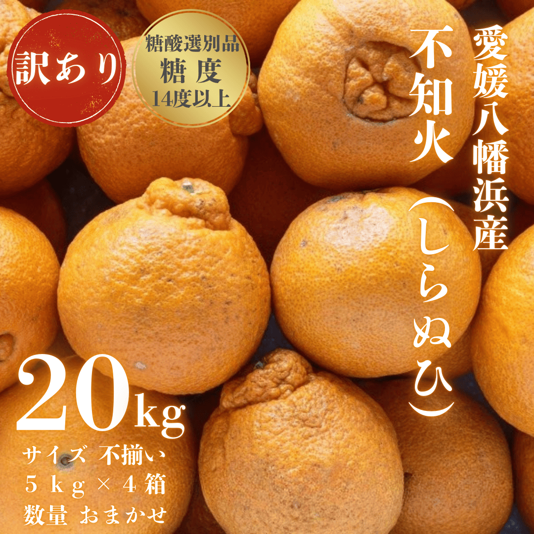 【糖度14.0以上酸1.4以下】糖酸選別品 愛媛産 訳あり不知火(しらぬひ)20kg【H20-62】【配送不可地域：離島】【1620231】 YWTI057