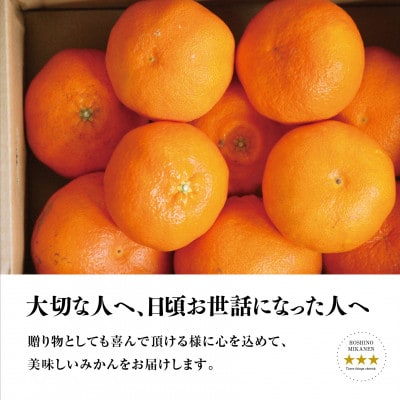 星乃みかん園の星乃甘平(3.5kg)【D45-46】【1339329】