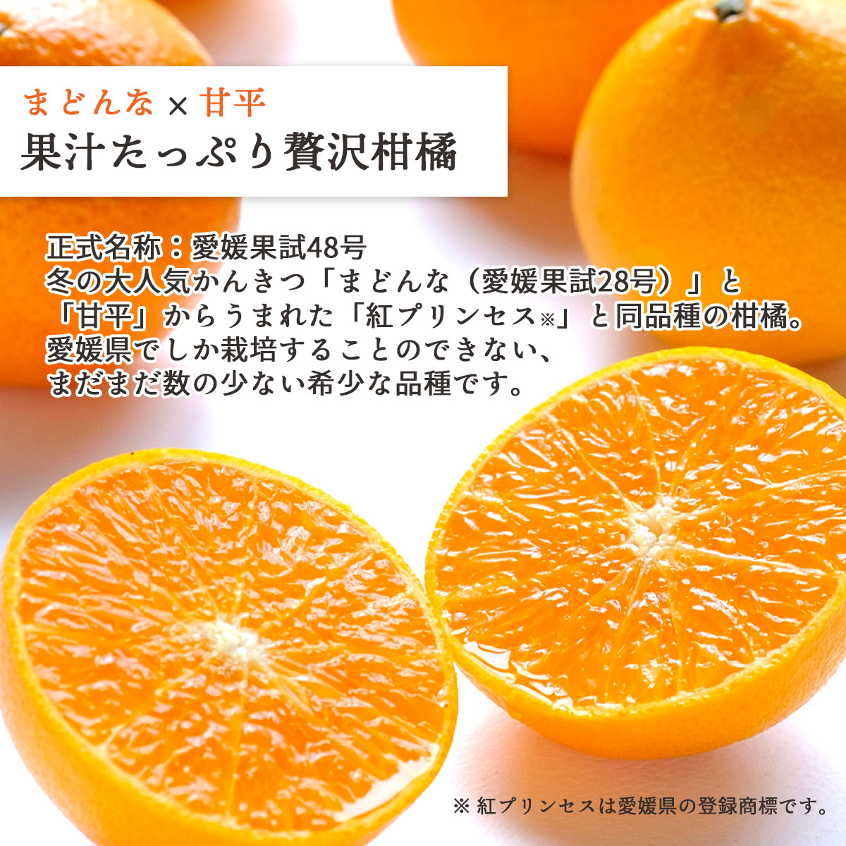 縲仙郁。悟女莉倥代占ィウ縺ゅj縲醍曝蟷ウテ励∪縺ゥ繧薙↑ 4kg 縲檎エ繝励Μ繝ウ繧サ繧ケ縲阪→蜷悟刀遞ョ 諢帛ェ帶棡隧ヲ48蜿キ 縺ソ縺九s縲織25-355縲代1715582縲 YWTAP296