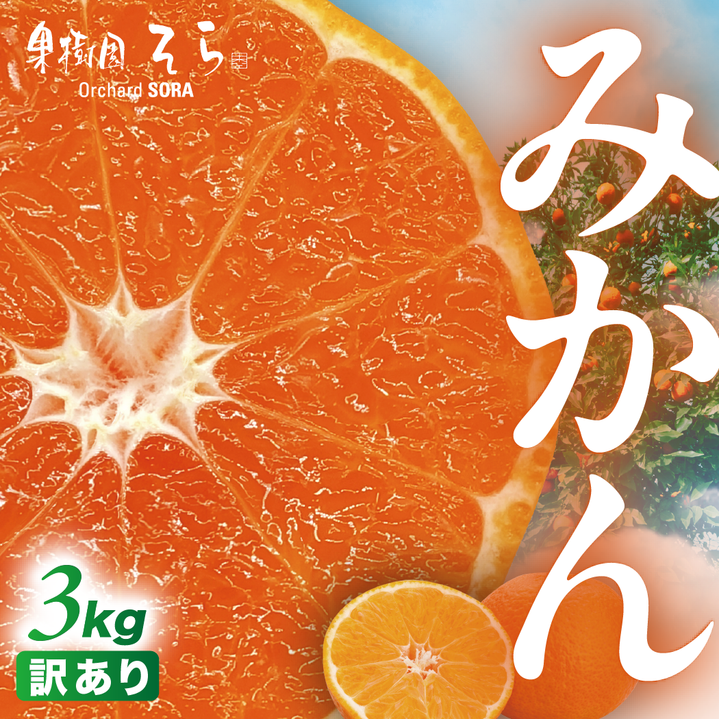 【先行受付】天空の果樹園から届くそらみかん (3kg)【訳あり】【A95-6】【1668486】 YWTAQ006