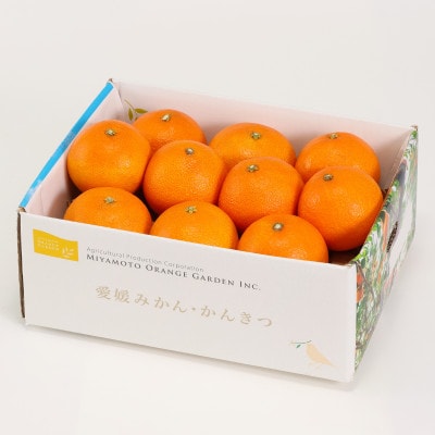 最高級みかん 媛皇 まどんな 2.5kg 愛媛県 八幡浜市 西宇和地区 希少品種【C25-367】【1717437】