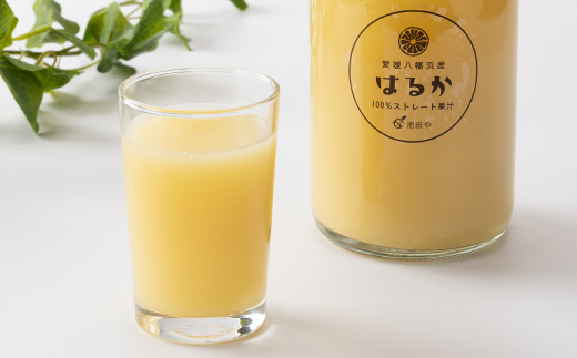 縺ッ繧九°繧ク繝・繝シ繧ケ縲720mlテ12譛ャ縲食56-77縲代1668611縲