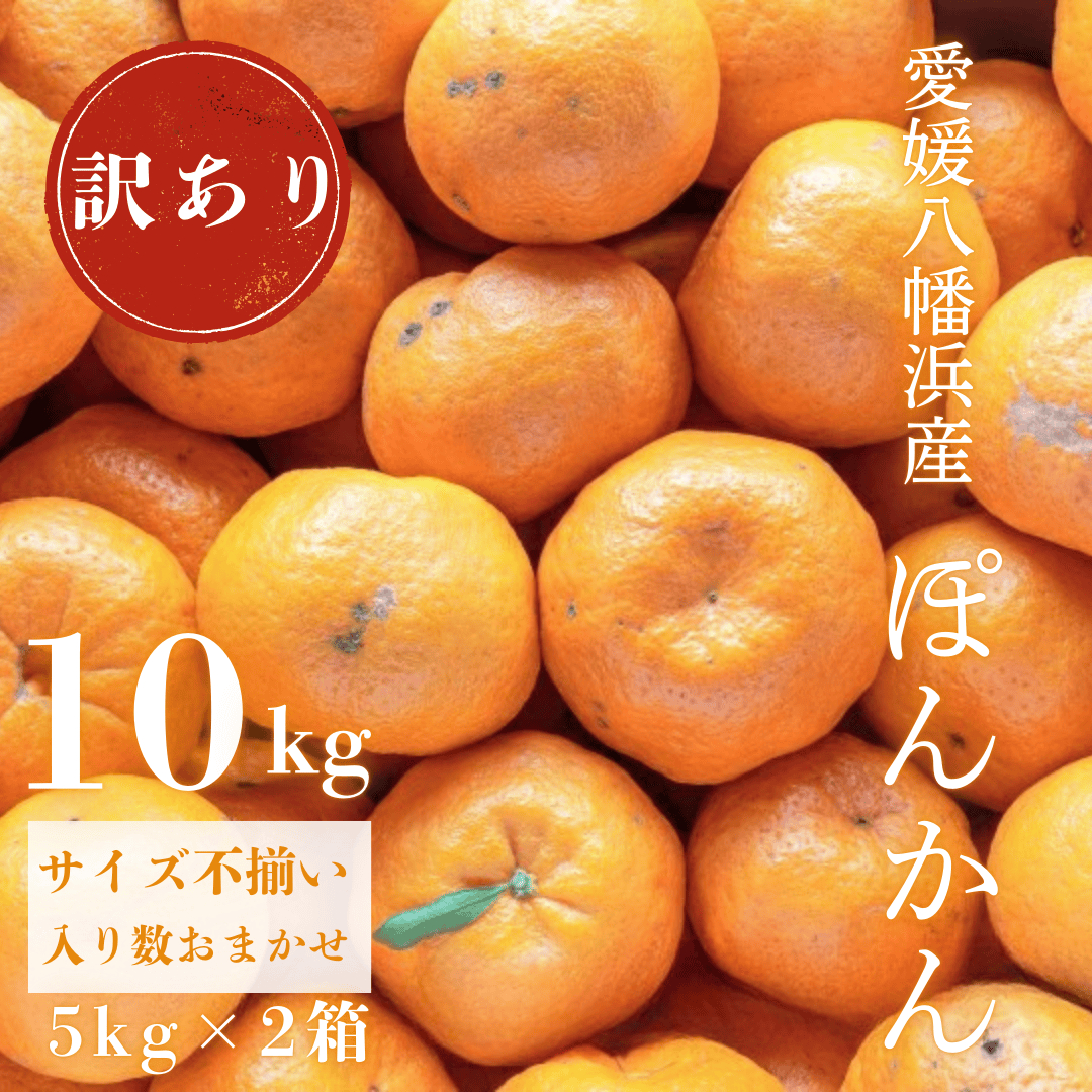 【南国を感じさせる独特の香り】訳あり 愛媛ポンカン 10kg【C20-13】【1094582】 YWTI011