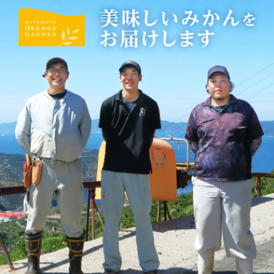 大玉サイズのみ厳選!八幡浜産 愛媛みかん8kg【訳あり】【C25-142】【1166254】