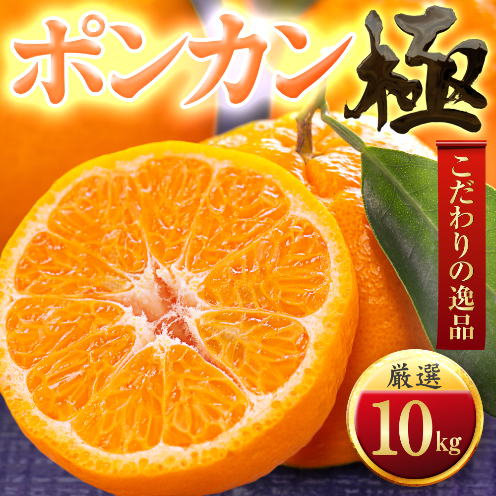 【太陽をたっぷり浴びた】ポンカン【極】10kg【F49-56】【1509753】 YWTZ048